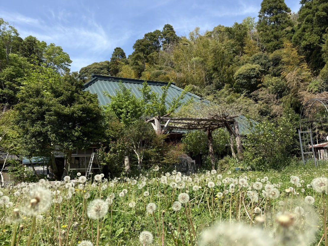 山に囲まれた自然