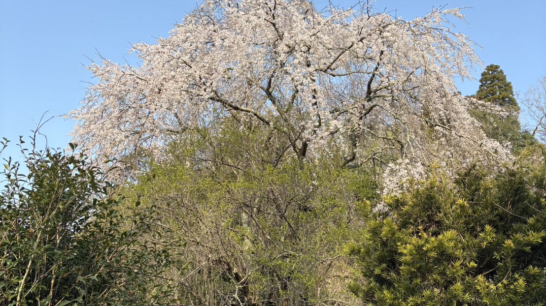 茂原の風景